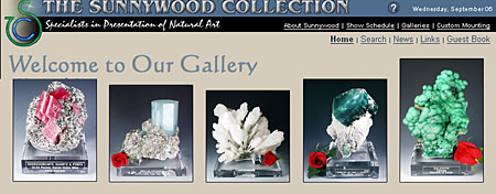 The Sunnywood Collection.jpg