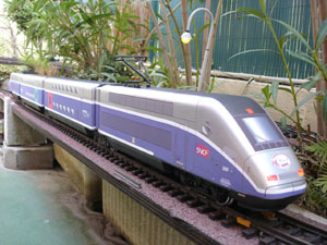 DSC02107.jpg