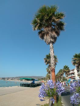 DSCN0117.jpg