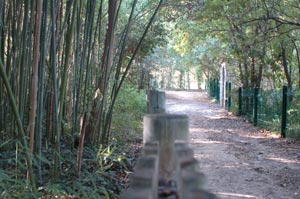 parc-mugel.jpg