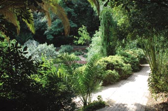 24%2025%20Parc%205.jpg