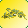 HUILE D'OLIVE LES GARRIGUES 25CL