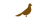 Gar�ons