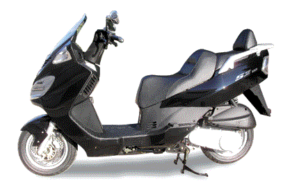 Scoter-vignette.gif