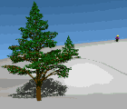 skiaccident