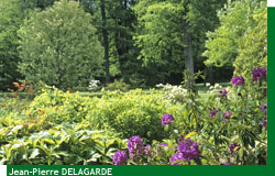 Le parc de Courson au printemps