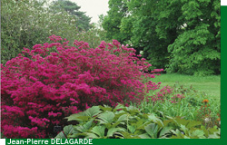 Les Parc de Courson au printemps