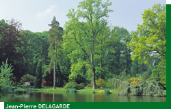 L'arboretum de Courson