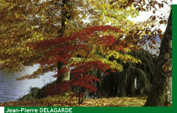 Le Ch�teau de Courson cot� parc en automne