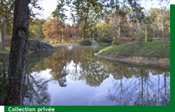 Le Ch�teau de Courson et son �tang en automne
