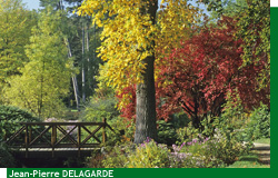 Le Petit Pont du Parc de Courson � l'automne
