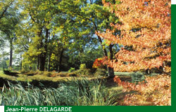 Le parc de Courson en automne