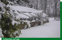 Les serres de Courson sous la neige