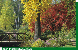 Le Parc de Courson