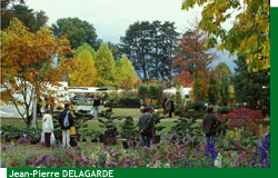 Journ�es des Plantes de Courson de l'Automne 2005