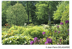 Le parc de Courson au printemps