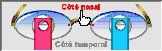 Image%20cot%E9naz%20et%20temp.jpg